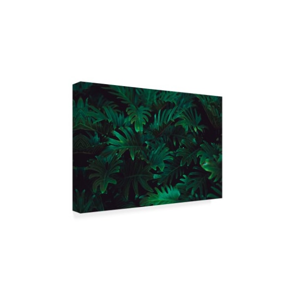 PhotoINC Studio 'Tropical 2' Canvas Art,30x47